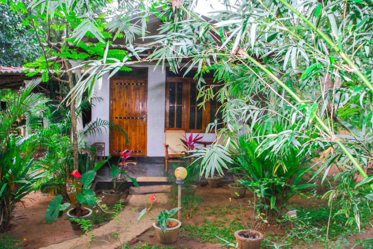 Manju Homestay สิกิริยา ภายนอก รูปภาพ